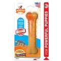Nylabone Puppy Chew Flavor Frenzy Toy, Regular NPFF104P